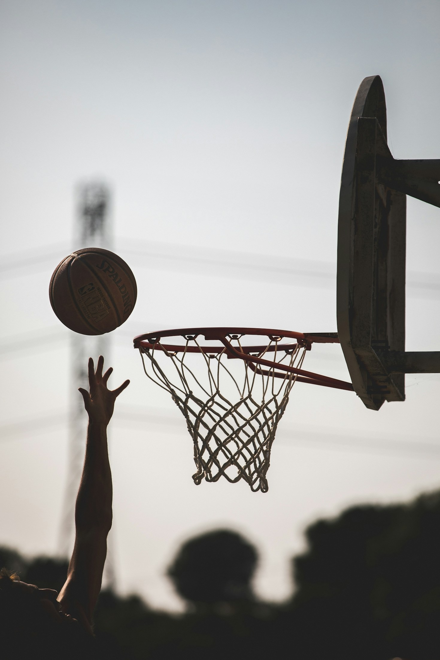 Storie di successo dalla Pallacanestro Serenissima