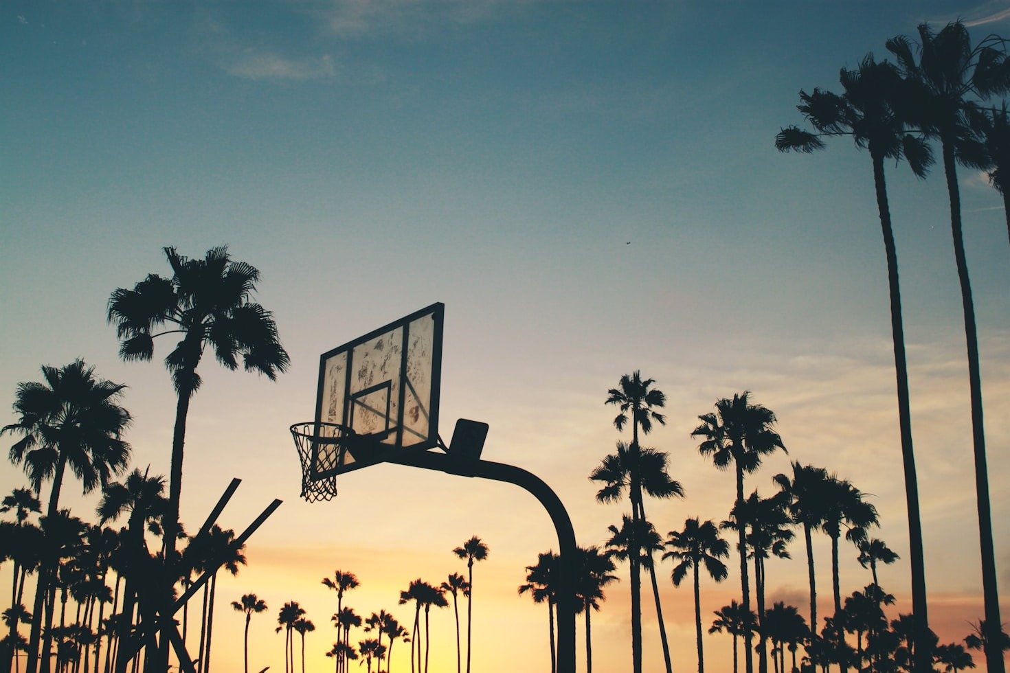 Allenamento e divertimento: il mix perfetto